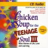 Chicken_soup_for_the_teenage_soul_III
