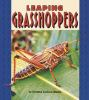 Leaping_grasshoppers