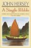A_single_pebble