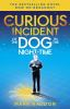 The_curious_incident_of_the_dog_in_the_night-time__Colorado_State_Library_Book_Club_Collection_