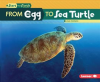 From_Egg_to_Sea_Turtle